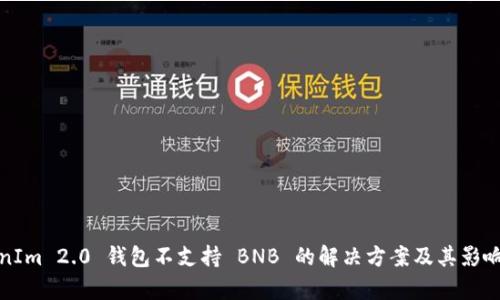 TokenIm 2.0 钱包不支持 BNB 的解决方案及其影响解析