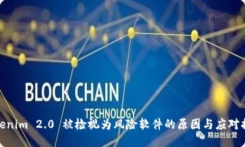 Tokenim 2.0 被检视为风险软件的原因与应对措施