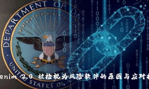 Tokenim 2.0 被检视为风险软件的原因与应对措施