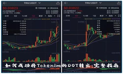 如何成功将Tokenim的DOT转出：完整指南