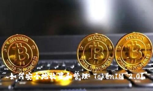 如何安全地放置和管理 TokenIM 2.0？