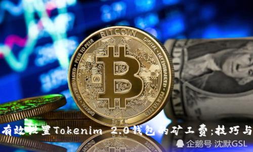 如何有效设置Tokenim 2.0钱包的矿工费：技巧与建议