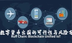 用数字货币出国的可行性