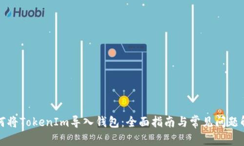 如何将TokenIm导入钱包：全面指南与常见问题解答