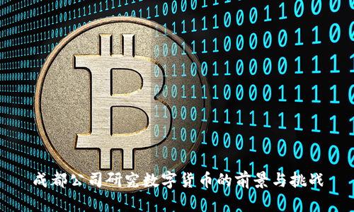 成都公司研究数字货币的前景与挑战