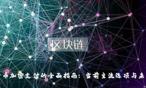 数字货币加密支付的全面指南: 当前主流选项与未来展望