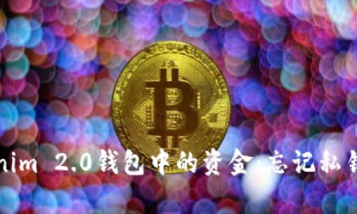如何恢复Tokenim 2.0钱包中的资金：忘记私钥后的解决方案