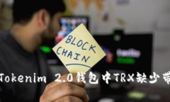 如何解决Tokenim 2.0钱包中