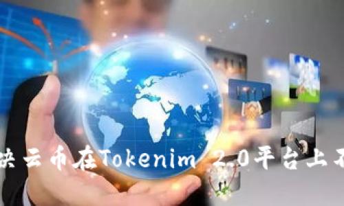 code如何解决云币在Tokenim 2.0平台上不到账的问题