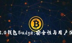 了解Tokenim2.0钱包Budge：安