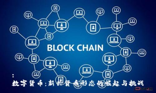 :
数字货币：新兴货币形态的崛起与挑战