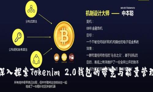 深入探索Tokenim 2.0钱包的带宽与能量管理