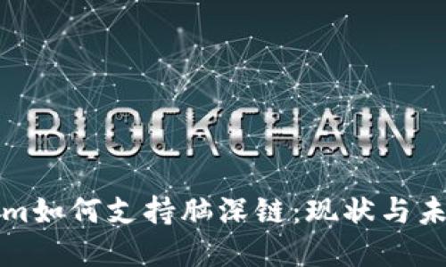 Tokenim如何支持脑深链：现状与未来展望