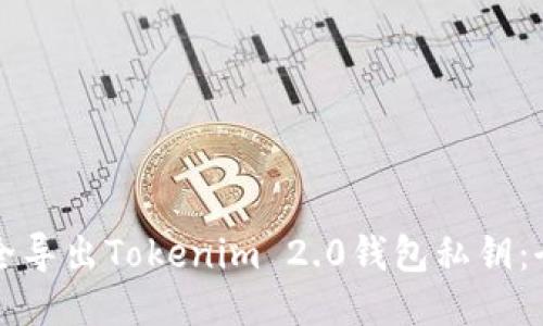 如何安全导出Tokenim 2.0钱包私钥：全面指南