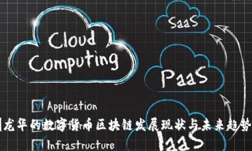 深圳龙华的数字货币区块链发展现状与未来趋势分析